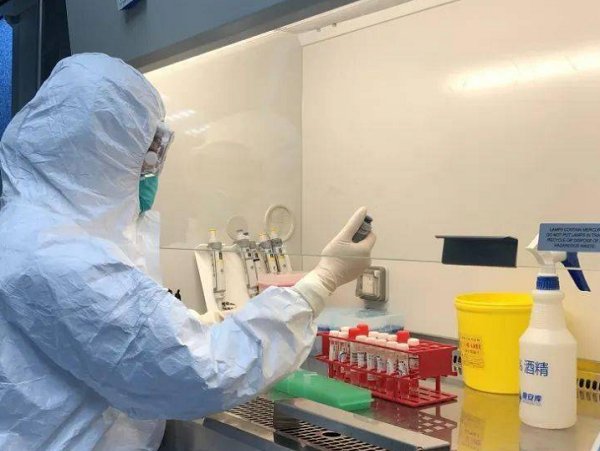 表面微生物、致病菌檢測